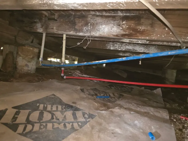 New blue and red PEX hot and cold supply lines routed across floor joists during a whole-home repipe by Out This World Services in San Antonio