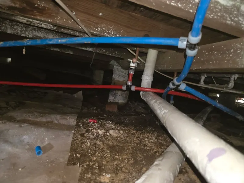 PEX repipe in a San Antonio crawlspace — new blue cold and red hot PEX supply lines with push-fit connections replacing failing galvanized water lines
